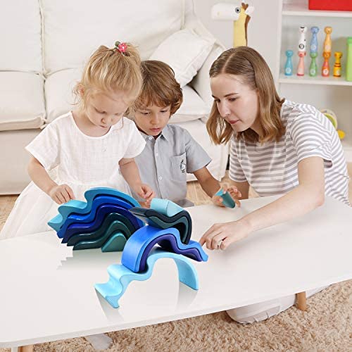 51wWYBFKtCL._AC_.jpg