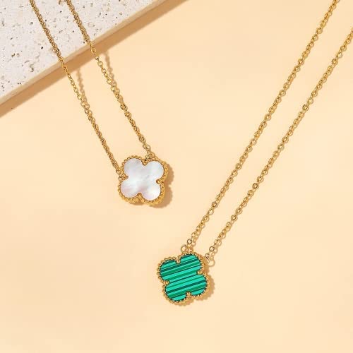 41pGH2kMe3L._AC_.jpg